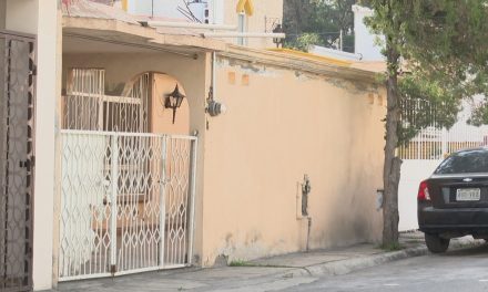 Trabajan en arquitectura Esponja en Saltillo