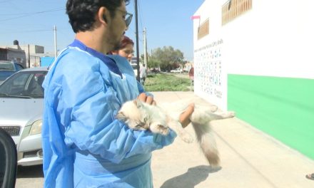 Vacunaron a mascotas de Loma Linda