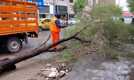 Torreón atiende reportes en zonas afectadas por lluvias
