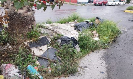 Saltillo: Peatones y automovilistas de las colonias San Javier, Nogales II y El Salvador viven un ‘viacrucis’ por el pésimo estado de la avenida San Javier