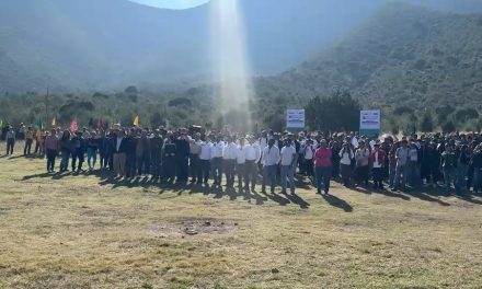 Reforestan 625 árboles en el Cañón de San Lorenzo