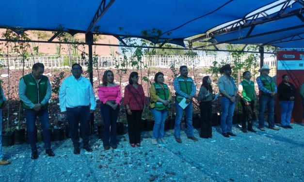 Realizan jornada de reforestación en el CECYTEC de Ramos Arizpe