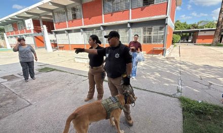 Refuerza DSPM vigilancia preventiva en planteles educativos de Torreón