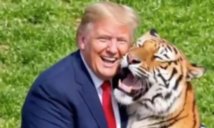 Trump se burla en video de hombre que murió a manos de un tigre en Inglaterra