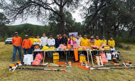 Fortalecen brigadas de sanidad forestal en Arteaga
