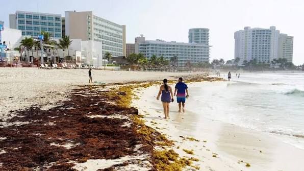 Tulum se mantiene en crisis de turismo por inseguridad y sargazo