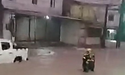 Así rescataron a dos adultos mayores atrapados en inundación en Monterrey