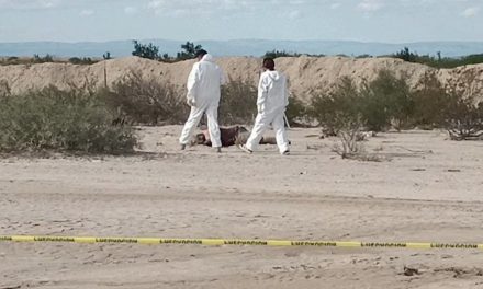 Localizan cuerpo en descomposición a un costado de la carretera Saltillo-Torreón