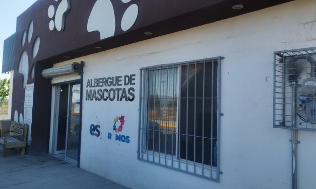 Disminuye adopción de perros en la  Dirección de Control y Bienestar Animal de Ramos Arizpe