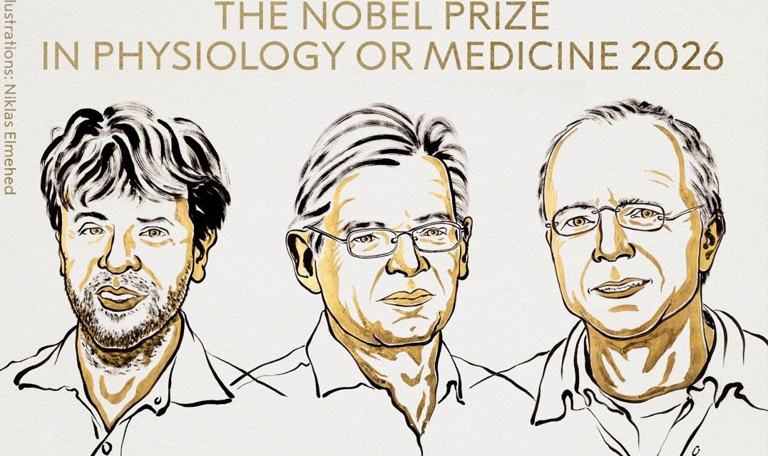 Creadores de la optogenética reciben el Premio Nobel de Medicina 2026