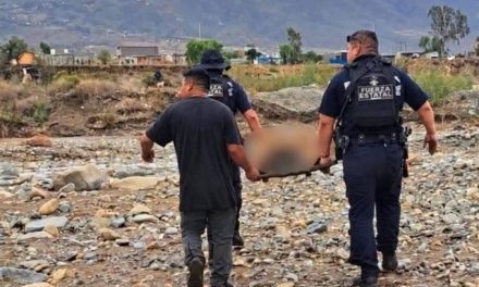 Tormenta tropical Rachel deja cuatro muertos y siete desaparecidos tras devastadoras inundaciones en Baja California